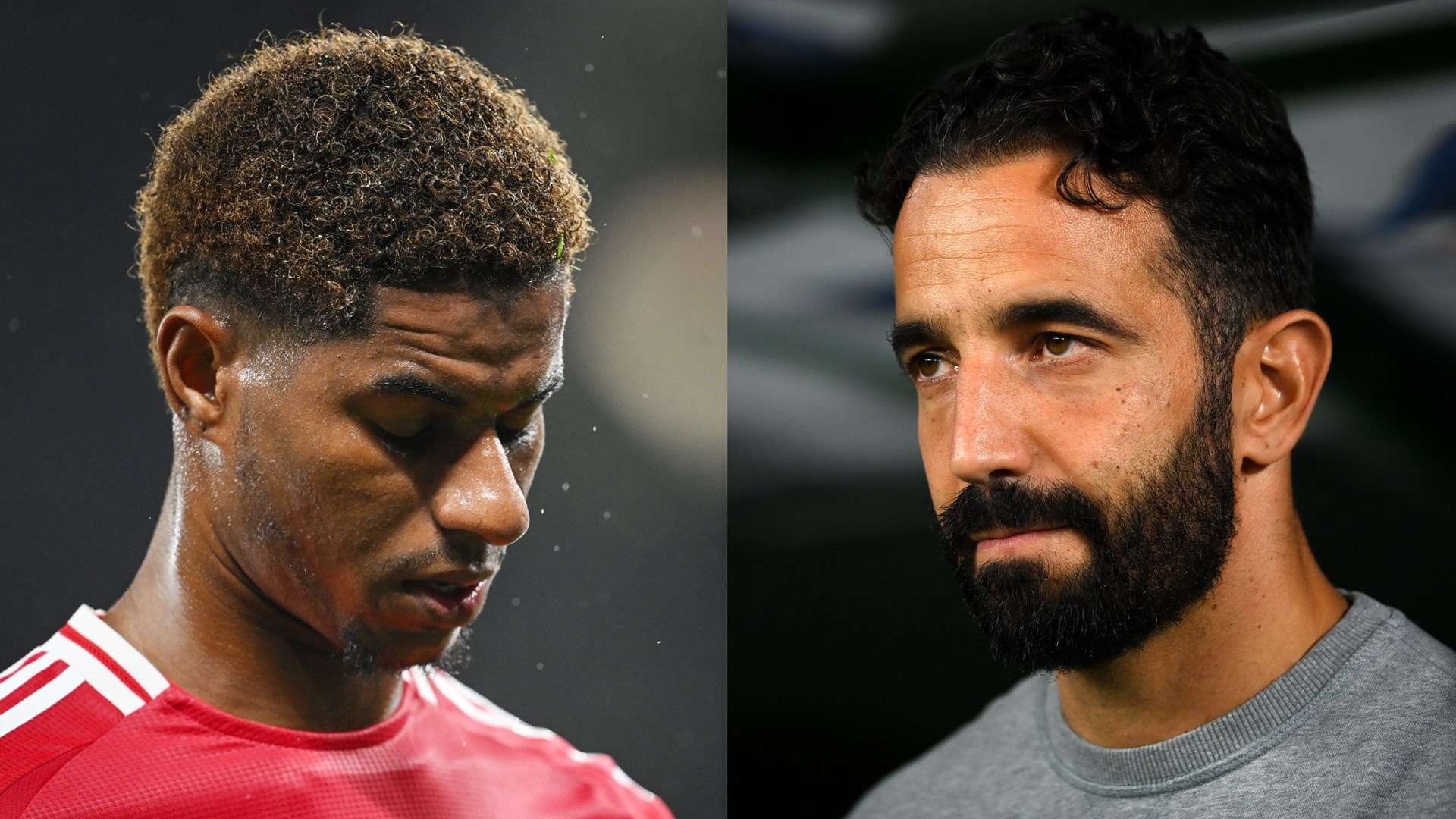 拥有深厚的 拥有深厚的