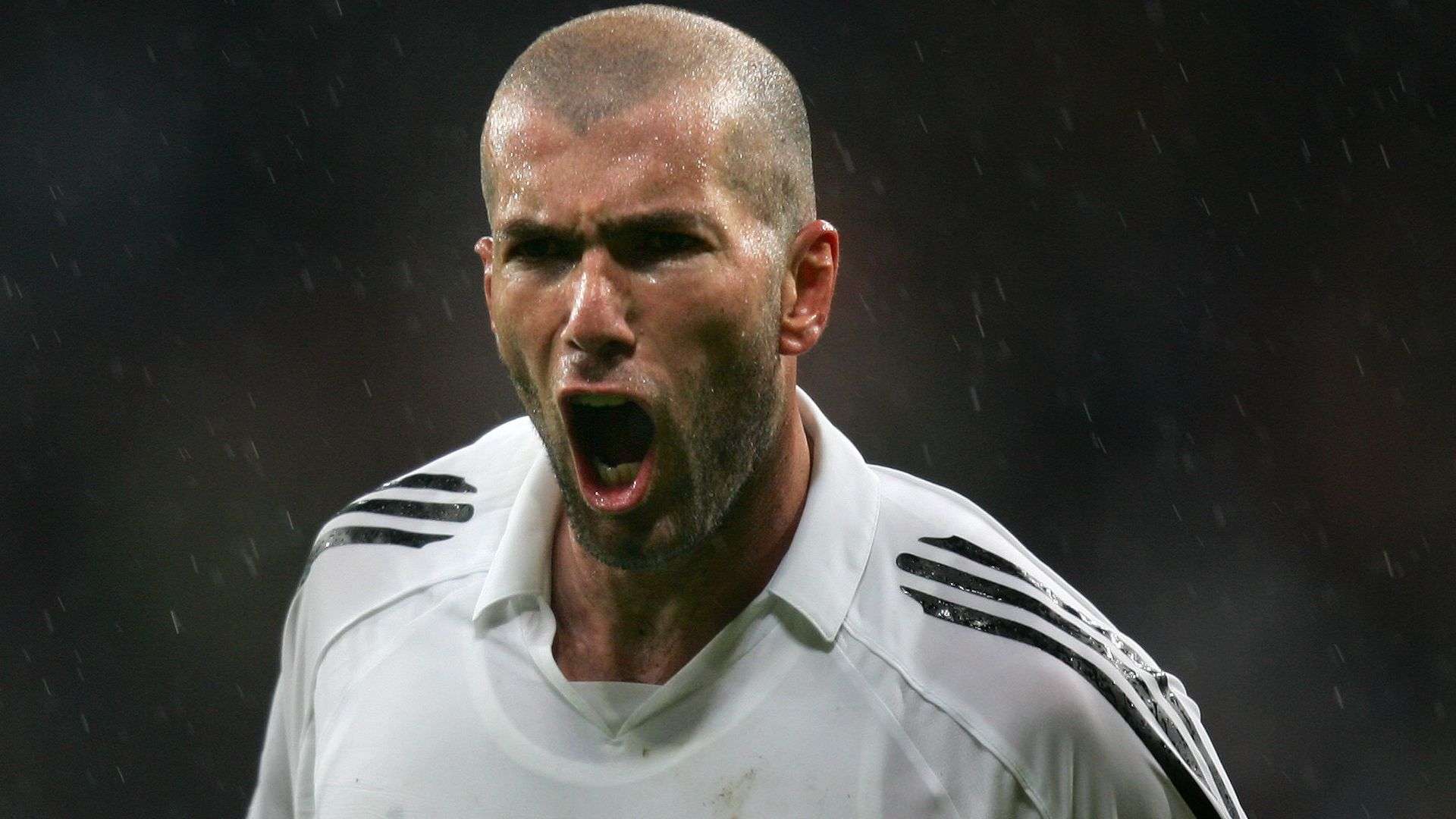 科斯塔和迪 科斯塔和迪